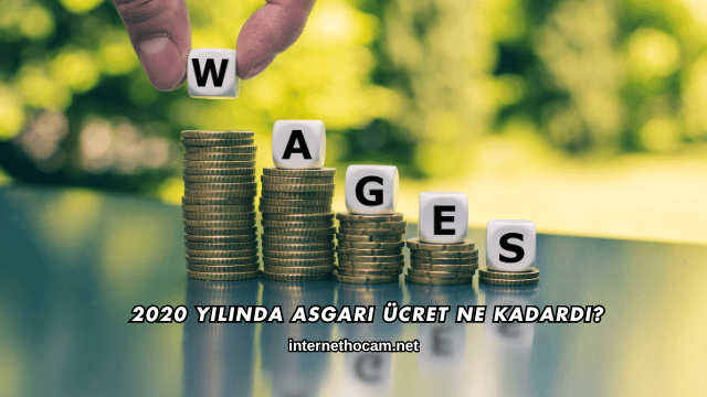 2020 Yılında Asgari Ücret Ne Kadardı?